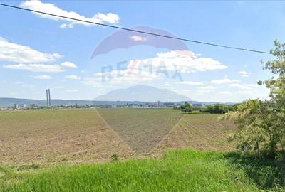 Teren Construcții intravilan de 11485 mp, în Nicolae Bălcescu - 1