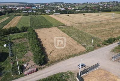 Teren 2000mp INTRAVILAN | Ilisesti | Bucovina - 4