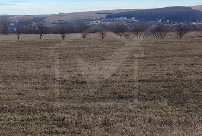 Teren Construcții intravilan de 8500 mp, în Jucu - 3