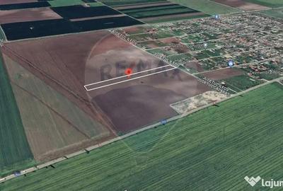 Teren de 2500 mp, în Belciugatele - 2