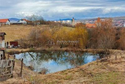 Spațiu comercial, în Aurel Vlaicu - 5