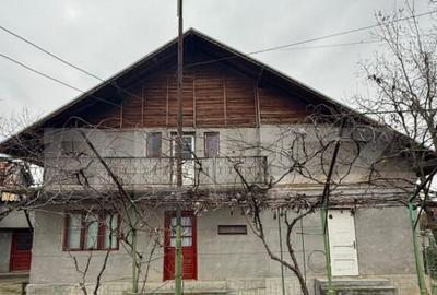 Proprietate completa in Sacuieni- Doua Case + Anexe - 15