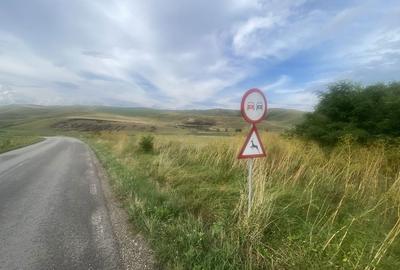 Spațiu comercial, în Cojocna - 6