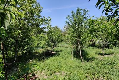 Oportunitate dezvoltare/constructie  2 proprietati Casa+teren 2200 m2,zona buna, - 10