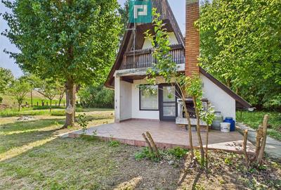 Casu?a de vacan?a cu POTEN?IAL DE INVESTI?IE - 13