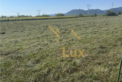 Teren de 698 mp, în Exterior Vest - 4