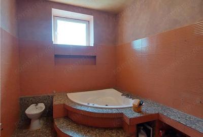 Casă cu Teren 2155 Mp în Periam - 8