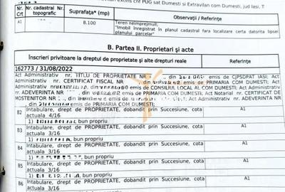 Teren Construcții intravilan de 8100 mp, în Dumești - 5