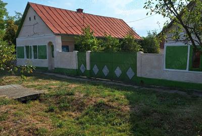 Casă cu 3 camere în Brestovăț - 4