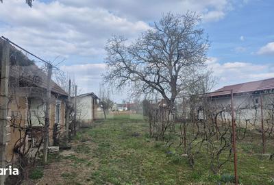 Casă cu 2 camere cu Teren 1399 Mp în Micula - 7