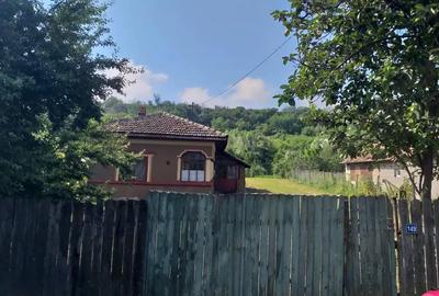 Teren de 3500 mp, în Izvoarele - 3