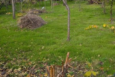 Casă cu 3 camere cu Teren 1877 Mp în Movila - 1