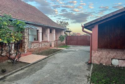 Casă cu 6 camere în Cenad - 6