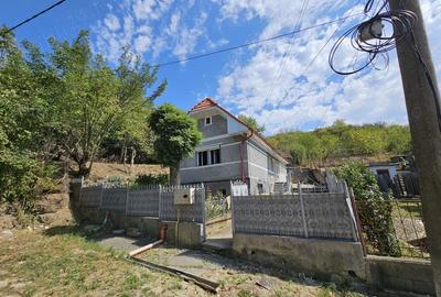 Casă cu 3 camere în Turda - 6