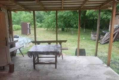 Vand casa la tara - 5