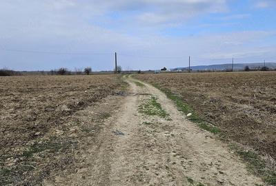 Teren de 5600 mp, în Leordeni