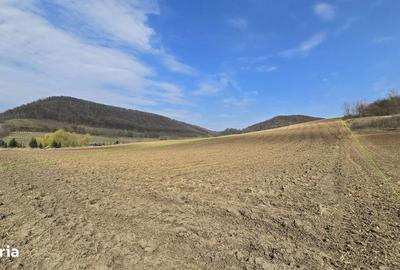 Teren de 7000 mp, în Hoghilag - 7