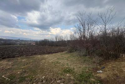 Teren de 1334 mp, în Bădeni - 4