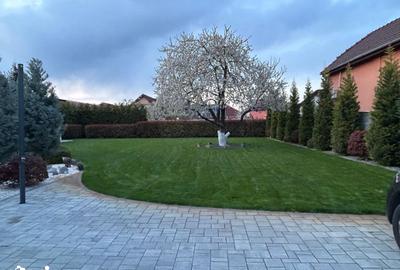 Casă cu 3 camere cu Teren 990 Mp în Central - 2