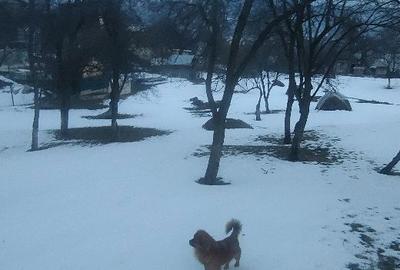 Spațiu comercial, în Ghioșești - 2