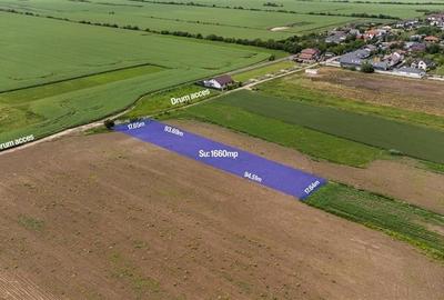 BUFTEA FLAMANZENI,TEREN INTRAVILAN 1660 MP,DESCHIDERE 17 M,ASFALT 70 M - 1