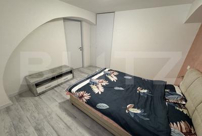 Apartament 2 camere, semidecomandat, curte 50mp Zona Casa Studentilor - 4