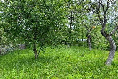 Teren de 4200 mp, în Ocina de Sus - 12