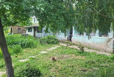 Casa si teren, loc Dragalina, Jud. Calarasi-03.03 - 3