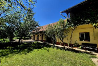 Casă individuală cu 3 camere cu Teren 2753 Mp în Vad - 10