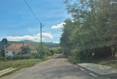 Teren intravilan si extravilan Lisnău Vale-zona pitoreasca - 4