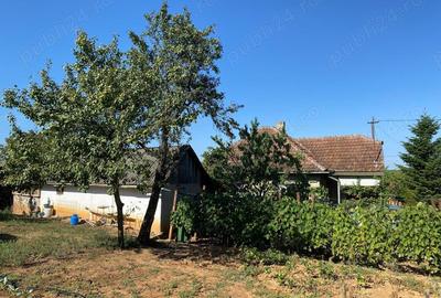 Casă cu 2 camere în Săcășeni - 9