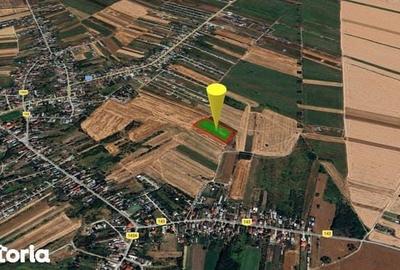 Teren de 12600 mp, în Săbăreni - 2