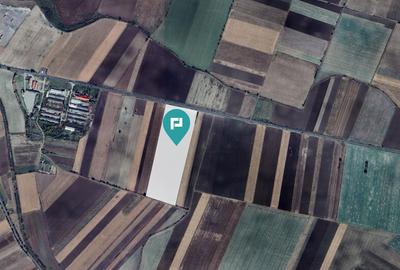 Teren Industrial in ?eitin, Jude?ul Arad - 3