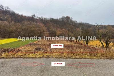 Teren extravilan 2.946 mp, situat in Satul Carjiti din Comuna Carjiti, Judetul Hunedoara. - 1