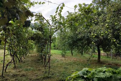 Casa de vanzare in Ineu, jud. Arad - 7