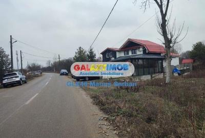 Vanzare teren Clinceni - 6