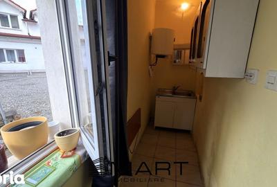 Garsonieră în Terezian - 1