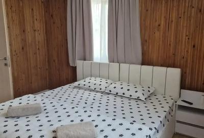 Cazare Boldesti Scaeni - 1