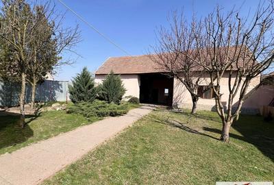 Casă cu 6 camere cu Teren 1043 Mp în Bistra - 10