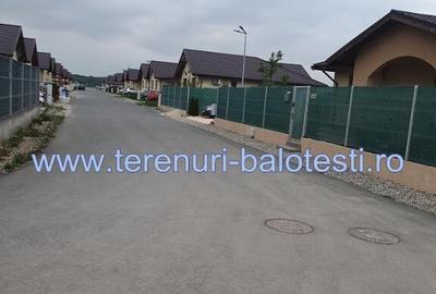 Lot teren Balotesti,langa case noi-50 m de asfalt 600mp - 9