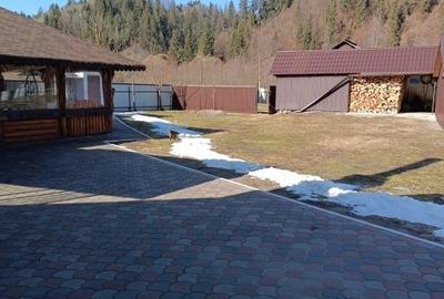 Casa individuala, teren 5200mp, oportunitate de investitie, Brodina - 12