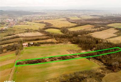 Spațiu comercial, în Ceica - 7