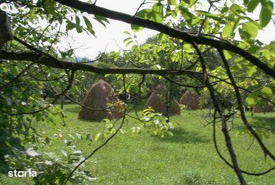 Teren de 5844 mp, în Valea Danului