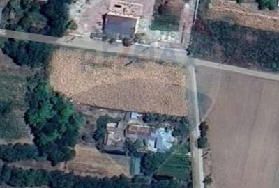 Teren de 4833 mp, în Amărăști - 1