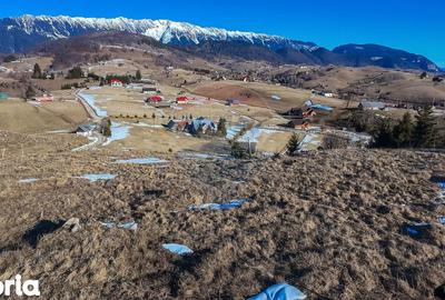 Teren de 3756 mp, în Fundata - 10