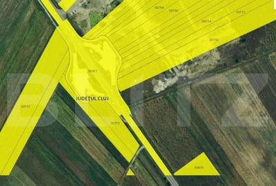 Teren de 87000 mp, în Central