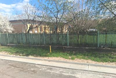 Casă cu 10 camere cu Teren 10000 Mp în Central - 2