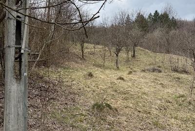 Teren Construcții intravilan de 3300 mp, în Sălătrucel - 3