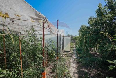 Casa si teren de 1397 mp de vanzare in Ineu, la 18 km de Oradea - 23