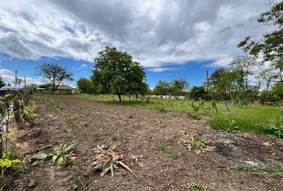 Casa + teren 4430 mp, vie si pomi fructiferi, 22 km de Tecuci - 33